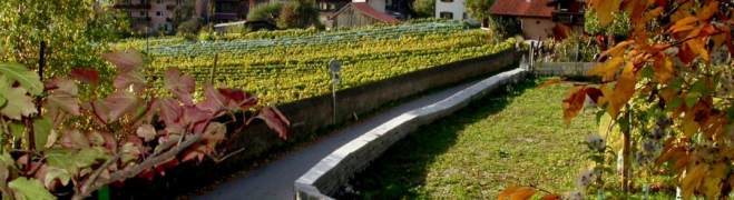 Landtagung alte-Praettigauerstrasse